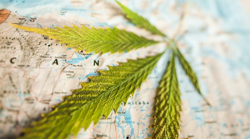 Travel Vicariously With These International Cannabis Features