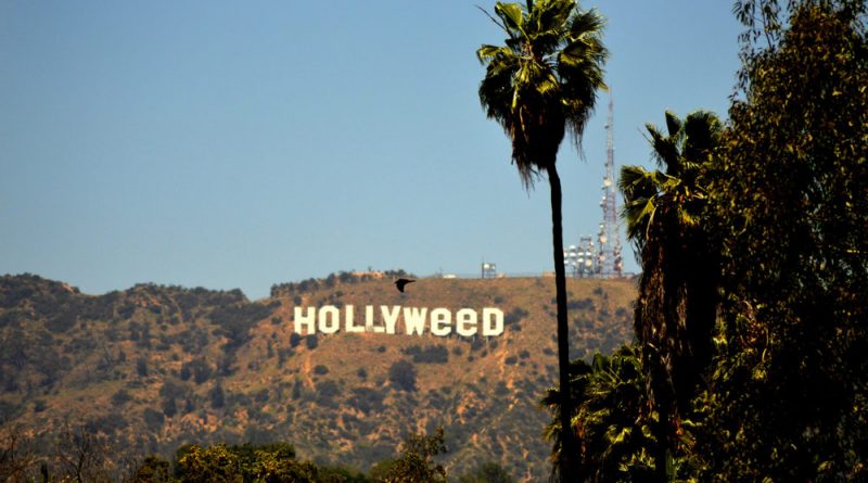 Hollyweed: What Strains Do Celebrities Smoke?