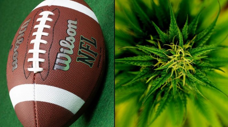 Sports Leagues Took Steps To Update Their Marijuana Policies As The Legalization Movement Grew In 2024