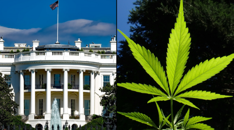 White House Touts Biden's 'Groundbreaking' Marijuana Pardons, Saying There's 'More To Come' Before He Leaves Office