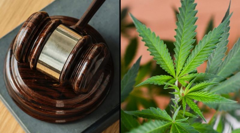 Workers Can't Sue Employers Who Violate New Jersey's Marijuana Anti-Discrimination Law, Federal Court Says, Siding With Walmart