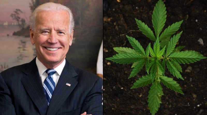 Biden Dodges Question About Releasing Marijuana Prisoners Before Leaving Office, As He Previously Promised He Would Do