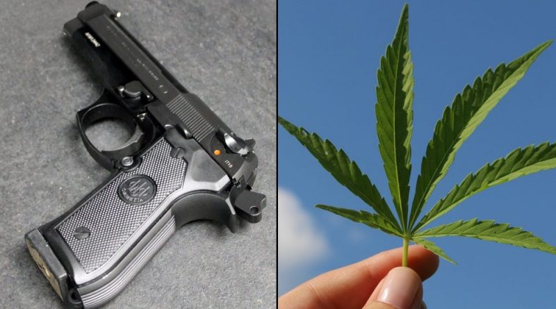 Federal Judge In Texas Rules That Ban On Gun Ownership By Marijuana User Is Unconstitutional As Applied