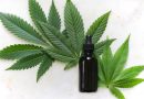 CBD Could Be A Useful Addition To Sunscreen, Hair Care and Wound Healing Products, Study Finds