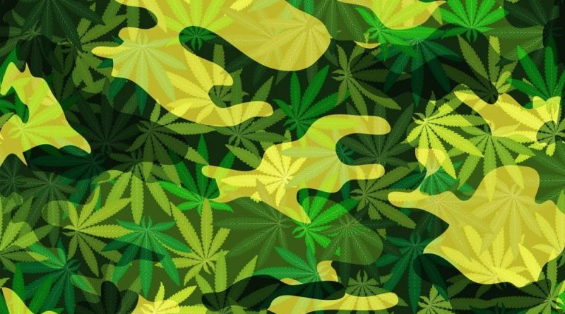 Military Veterans Groups Push Congress To Expedite Psychedelics Research And Support Medical Marijuana Access