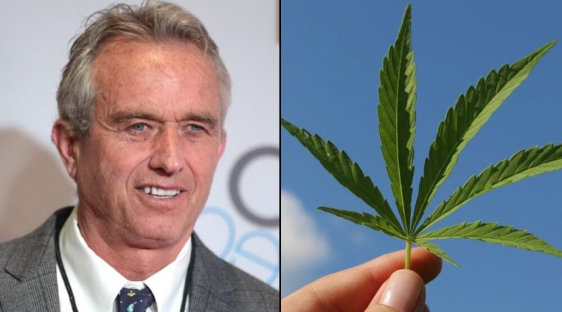 RFK Jr. Says Marijuana Can Have 'Catastrophic Impacts' On Consumers, But State-Level Legalization Can Spur Research On Its Harms And Benefits