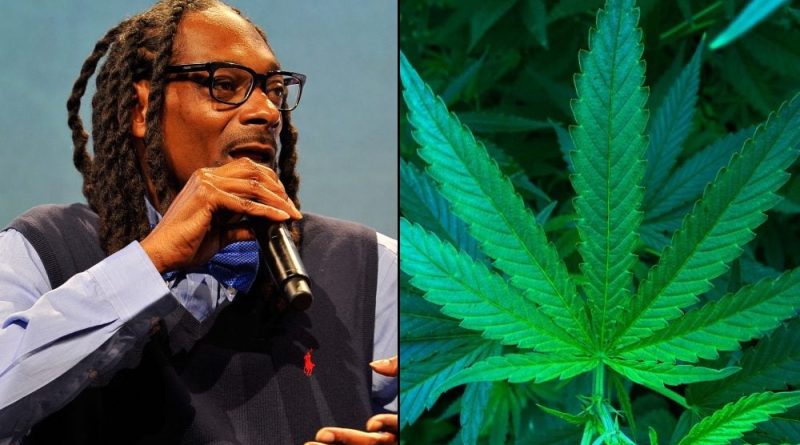 Snoop Dogg Expands Marijuana Empire Again With New Line Of Blunts After Judging Rolling Contest In Vegas