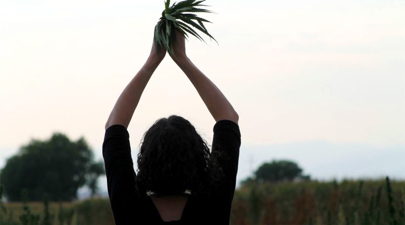 Celebrate the Women of Cannabis This Month