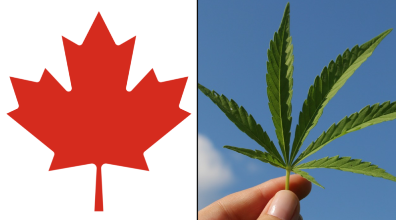 Legalizing Marijuana Was Justin Trudeau's Greatest Accomplishment, Poll Of Canadians Finds