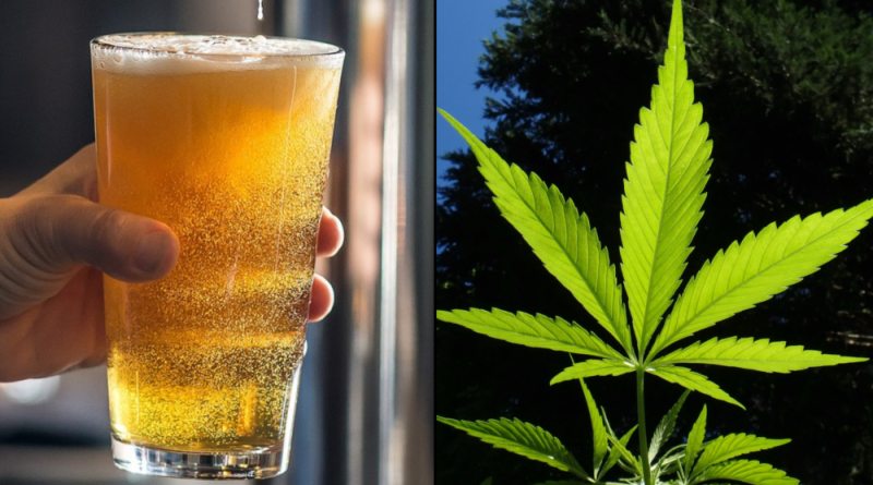 Majority Of Americans Say Alcohol Is More Harmful Than Marijuana, Poll Finds