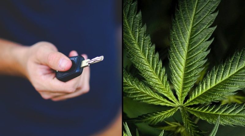 Marijuana Consumers Respond Better To 'Realistic' Anti-Impaired Driving Message That Avoid Stoner Stereotypes, AAA Study Finds