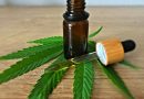 Alabama Lawmakers Approve Bill Directing Alcohol Regulators To Oversee Consumable Hemp Products