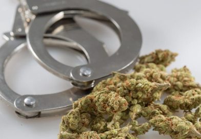 DEA Ramps Up Recruitment For Agents To 'Fight The War On Drugs' As Trump And Musk's DOGE Cuts Federal Workforce Elsewhere