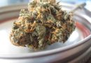 Oregon Officials Don't Know If $46M Used To Fight The Unlicensed Marijuana Market Has Accomplished Anything