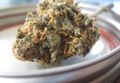 Oregon Officials Don't Know If $46M Used To Fight The Unlicensed Marijuana Market Has Accomplished Anything