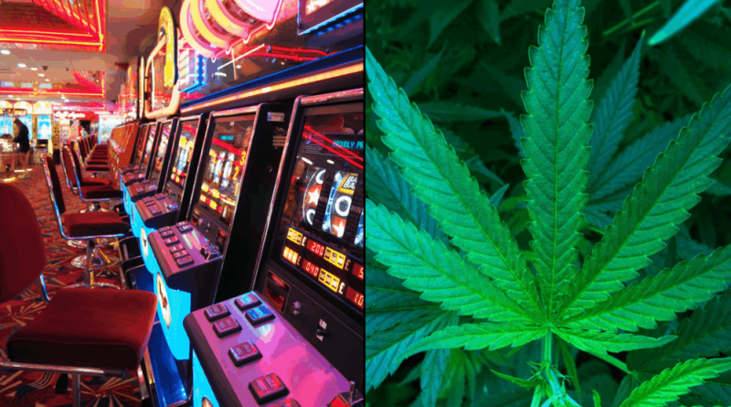 70 Percent Of Americans Support Allowing Marijuana Use At Casinos And Resorts, New Poll Shows