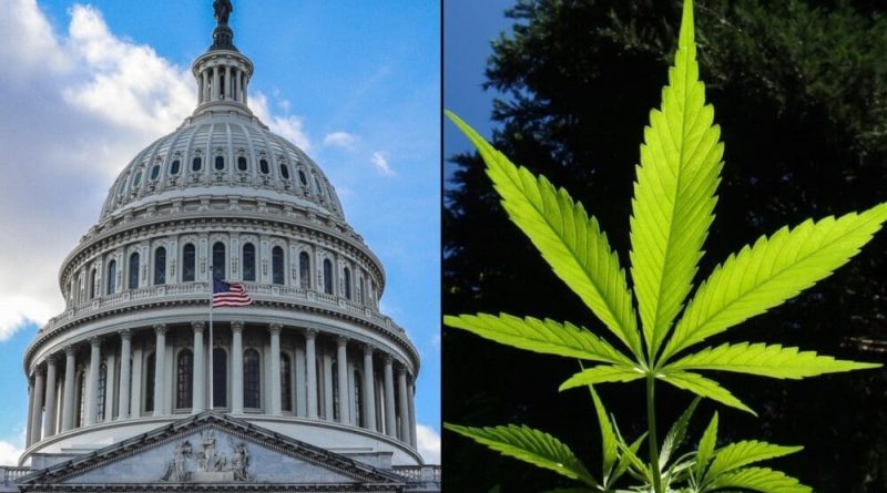 Bipartisan Congressional Lawmakers File Bills To Seal Federal Marijuana Records And Assist States In Facilitating Expungements