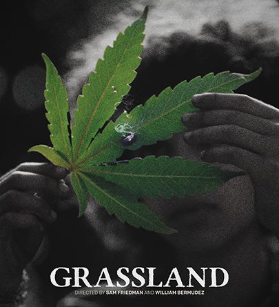 Film Review: Grassland Is A Stunner