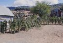 Morocco: The World’s Largest Hash Exporter