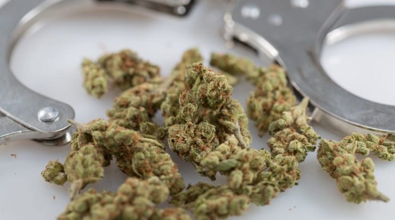 Texas City's Marijuana Decriminalization Law Saved Nearly Half A Million Dollars As Arrests Plummeted, Report Shows