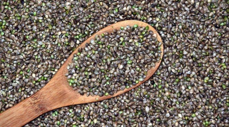 Cannabis Seeds Launched To Orbit By SpaceX Crash Into Sea, Setting Back Mission To Grow Marijuana On Mars