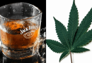 Marijuana Legalization Is Putting 'Pressure' On Alcohol Industry, CEO Of Jack Daniel's Parent Company Says Amid Profit Losses