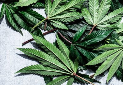 An Actually-Helpful Guide to Using Cannabis