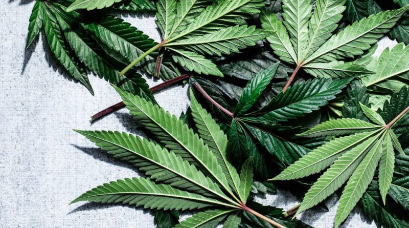 An Actually-Helpful Guide to Using Cannabis