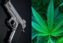 Courts Grapple With 'Constitutional Attacks' On Law Barring Marijuana Users From Gun Ownership, Congressional Researchers Note