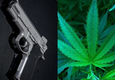 Courts Grapple With 'Constitutional Attacks' On Law Barring Marijuana Users From Gun Ownership, Congressional Researchers Note