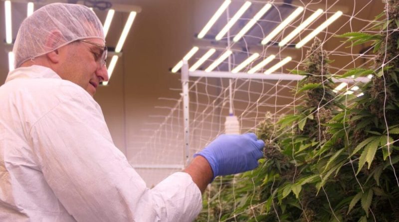 Delaware Governor Tours Marijuana Grow Ahead Of Friday Sales Launch, Saying State Will Produce 'The French Wine Of Weed'