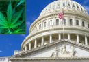 The Congressional Cannabis Caucus Still Hasn't Held A Meeting Six Months Into This Session, Co-Chair Says