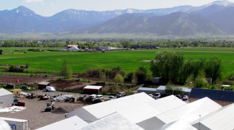The Montana Green Pages: The Best Dispensaries in Montana