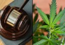 Federal Appeals Court Says Government Must Prove Marijuana Users 'Pose A Risk' Of Danger To Justify Gun Ban