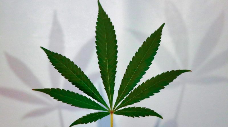 Rhode Island Marijuana Regulators Begin Screening Prospective Business License Applicants For Social Equity Status