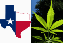 Texas Officials Take Key Step To Expand Medical Marijuana Program As Hemp Ban Bill Stalls