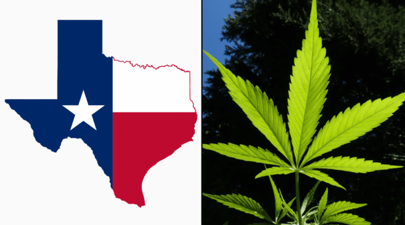Texas Officials Take Key Step To Expand Medical Marijuana Program As Hemp Ban Bill Stalls