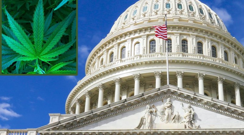 Congressional Committee Directs Federal Agencies To Study State Marijuana Laws