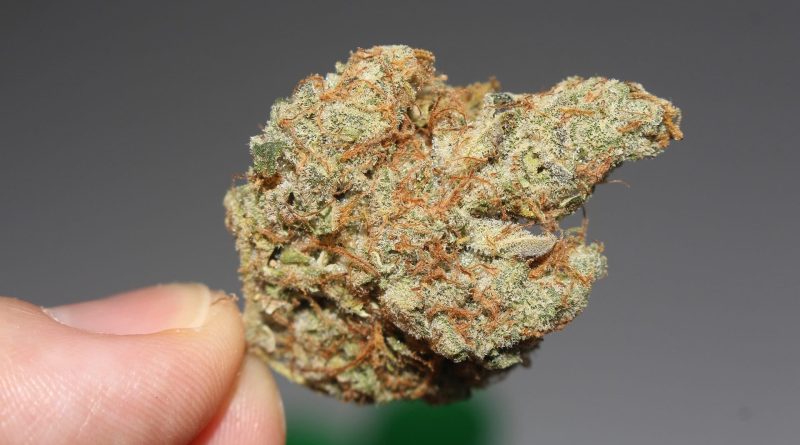 Oregon Officials Issue Certified Ballot Title For Measure To Legalize Marijuana Social Lounges